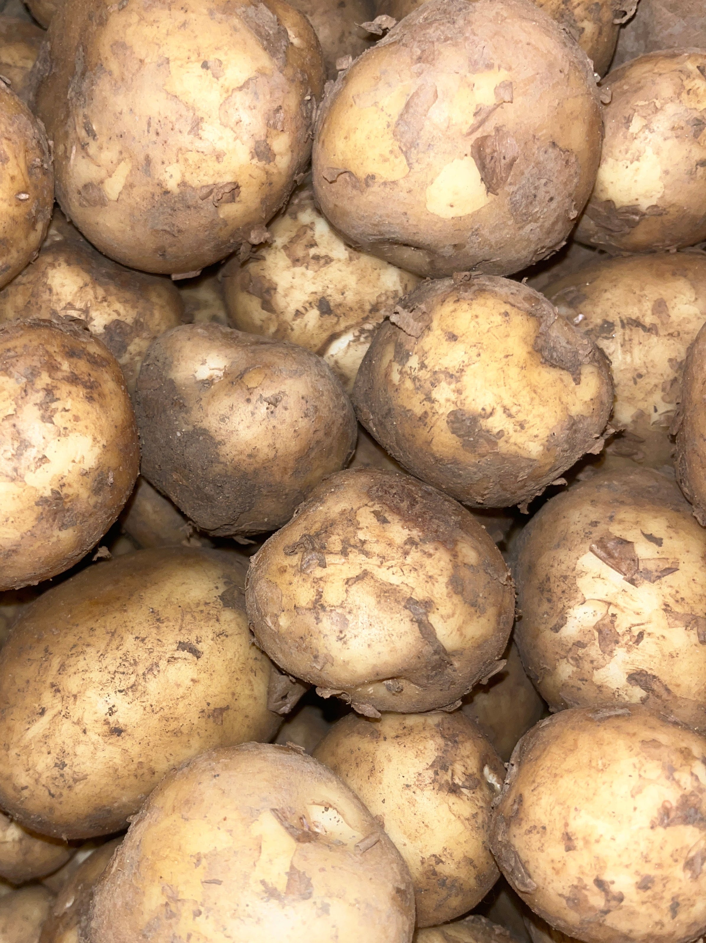 Cornish New Potatoes 500g