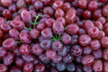 Seedless Red Grapes