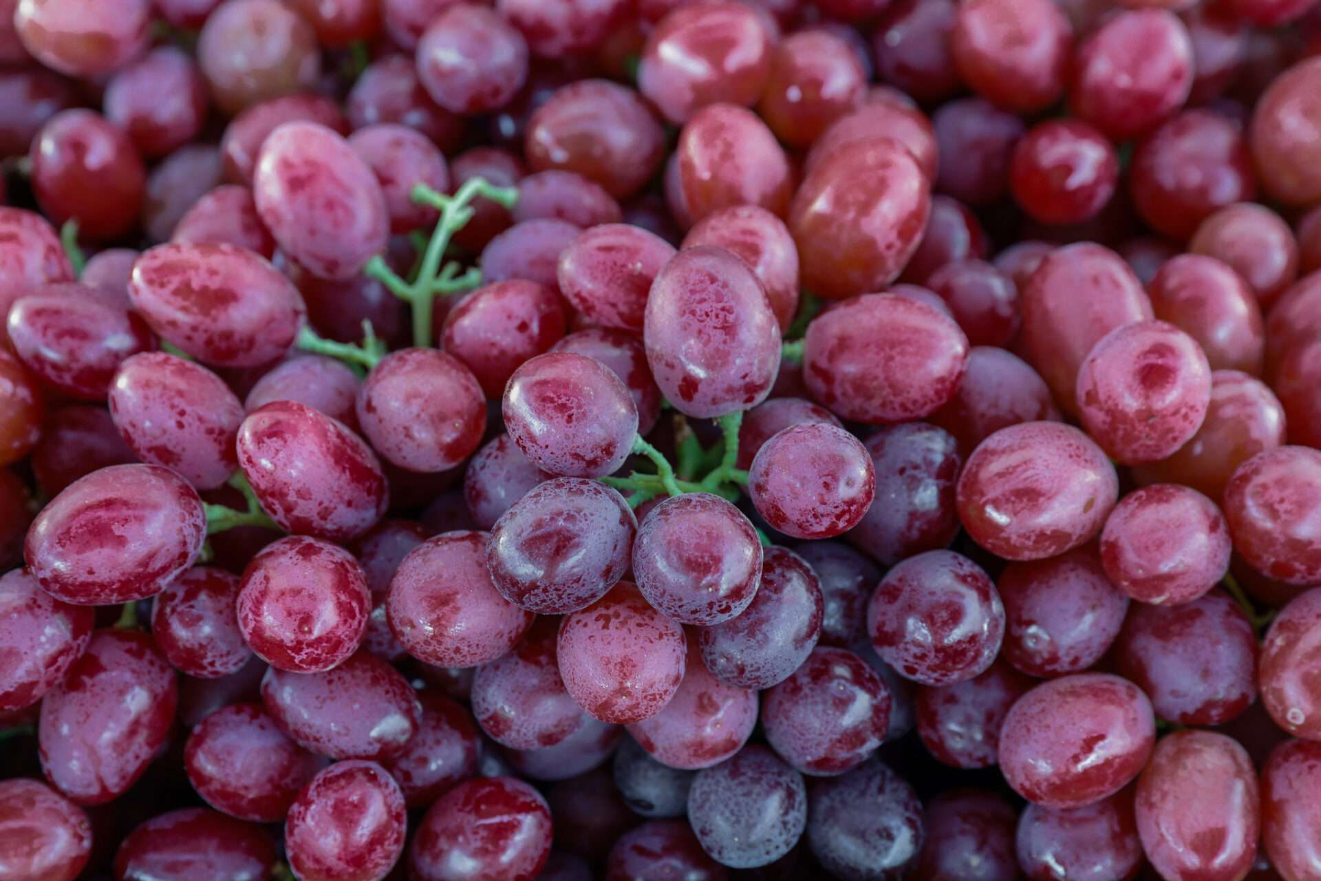 Seedless Red Grapes