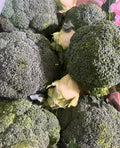Broccoli (Calabrese)