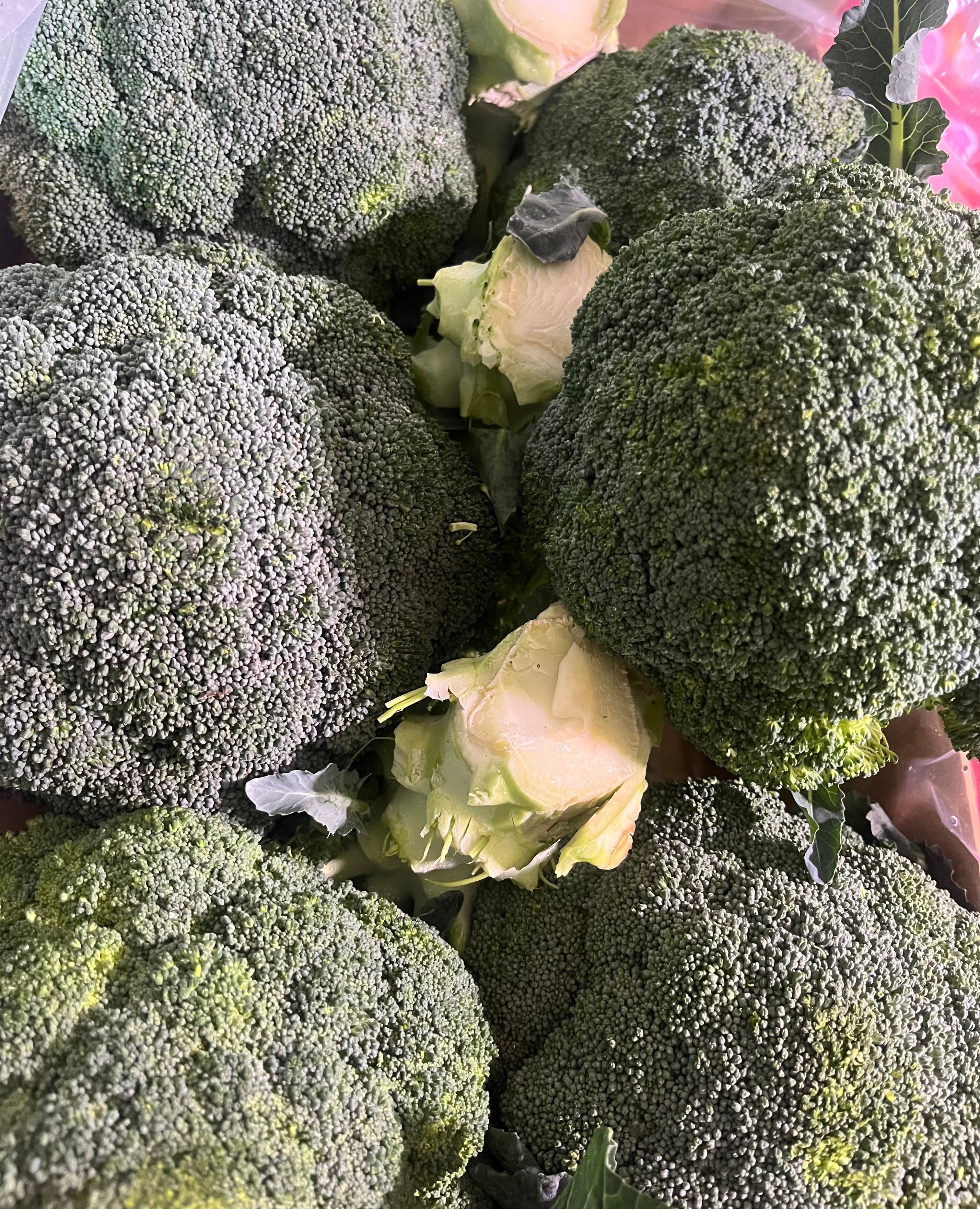 Broccoli (Calabrese)