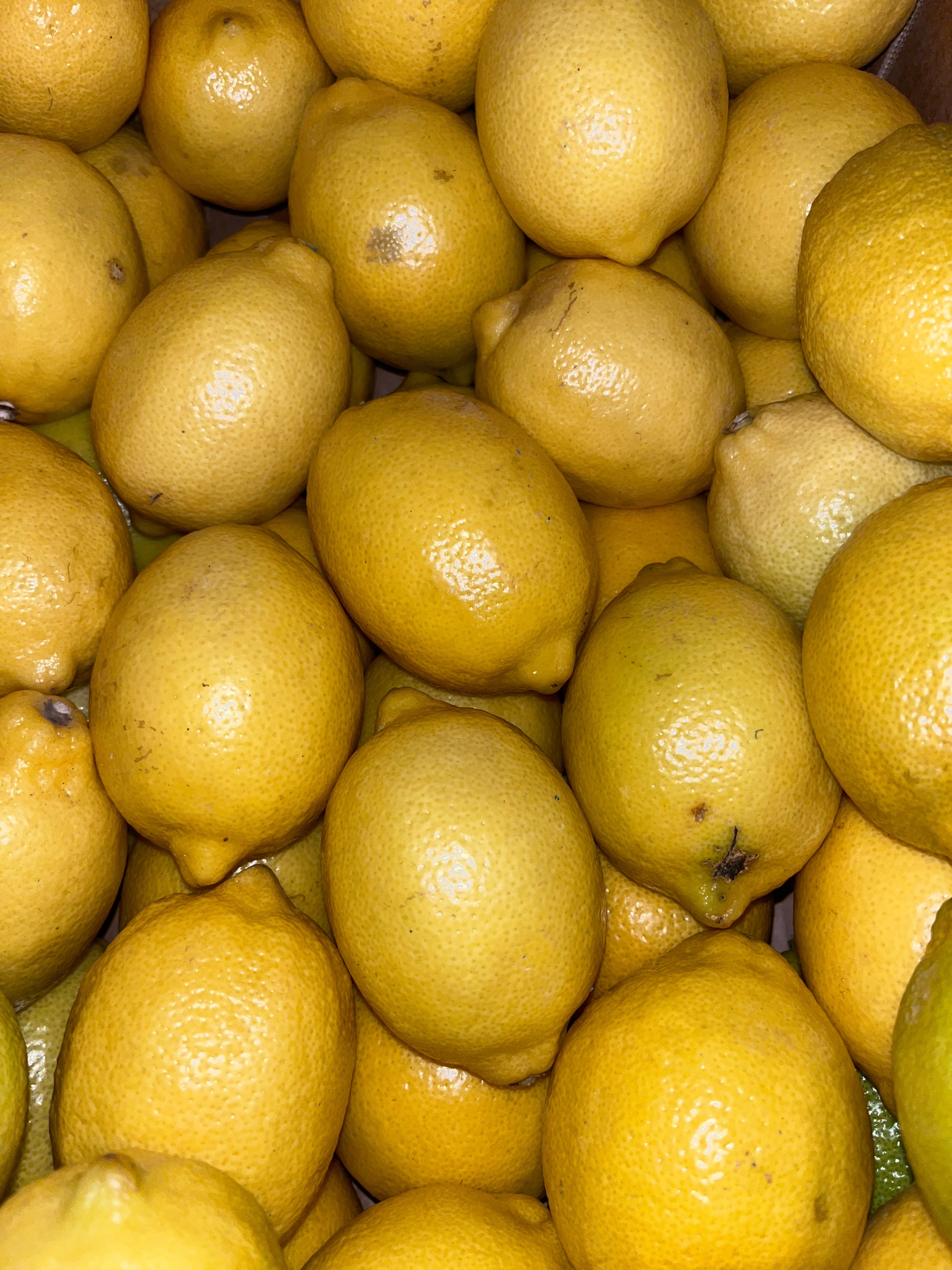 Lemon