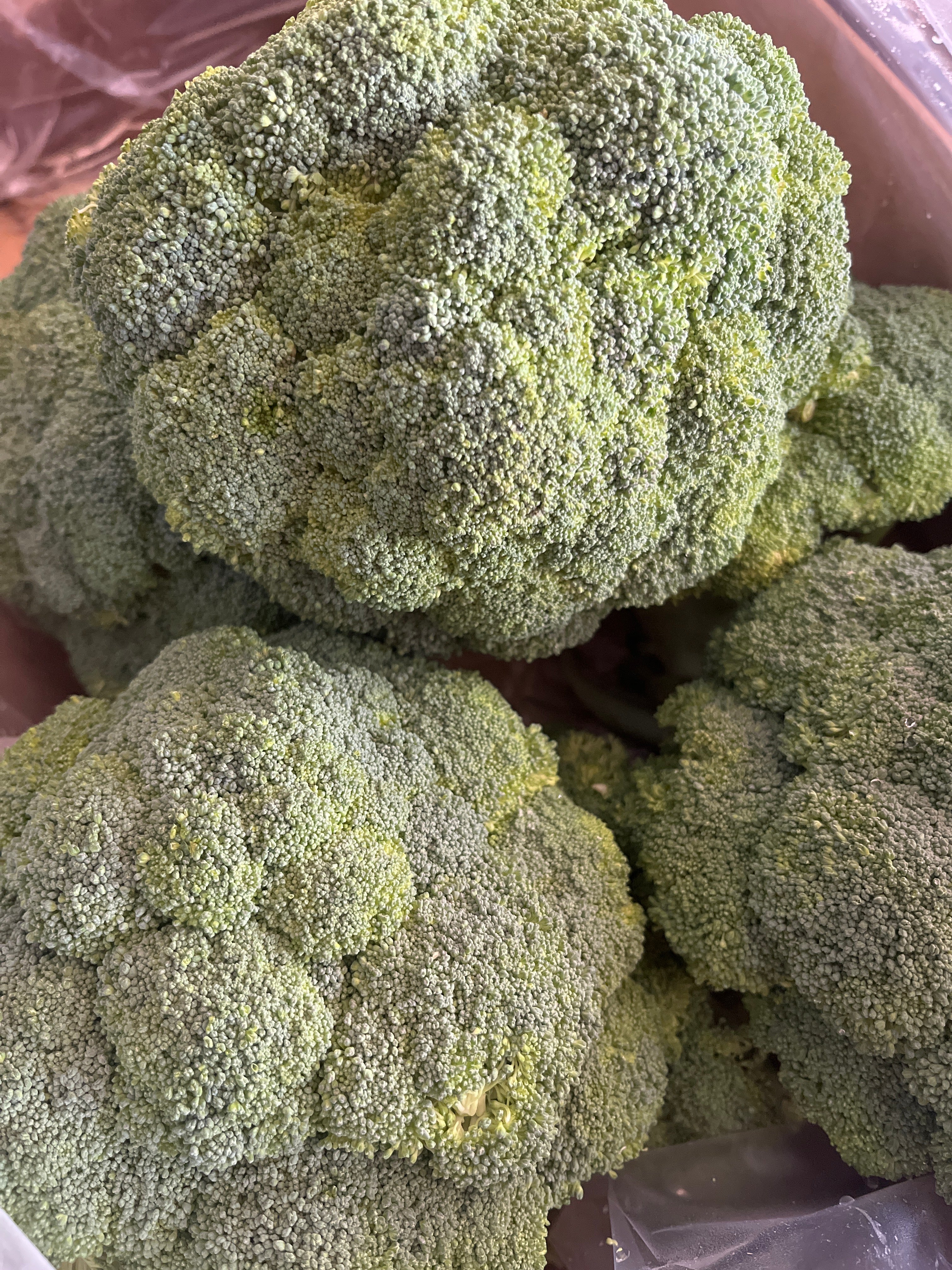 Broccoli (Calabrese)