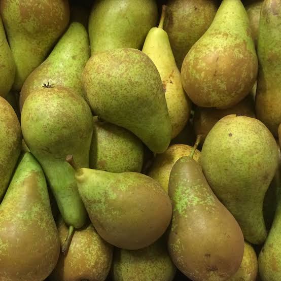 Conference Pear