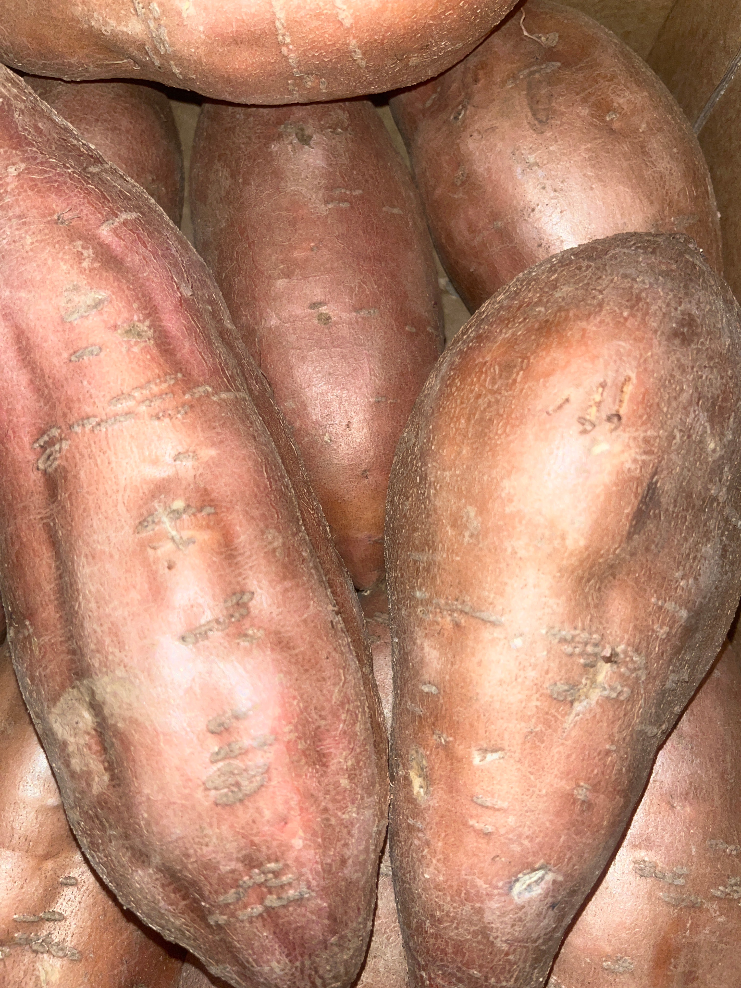 Sweet Potato