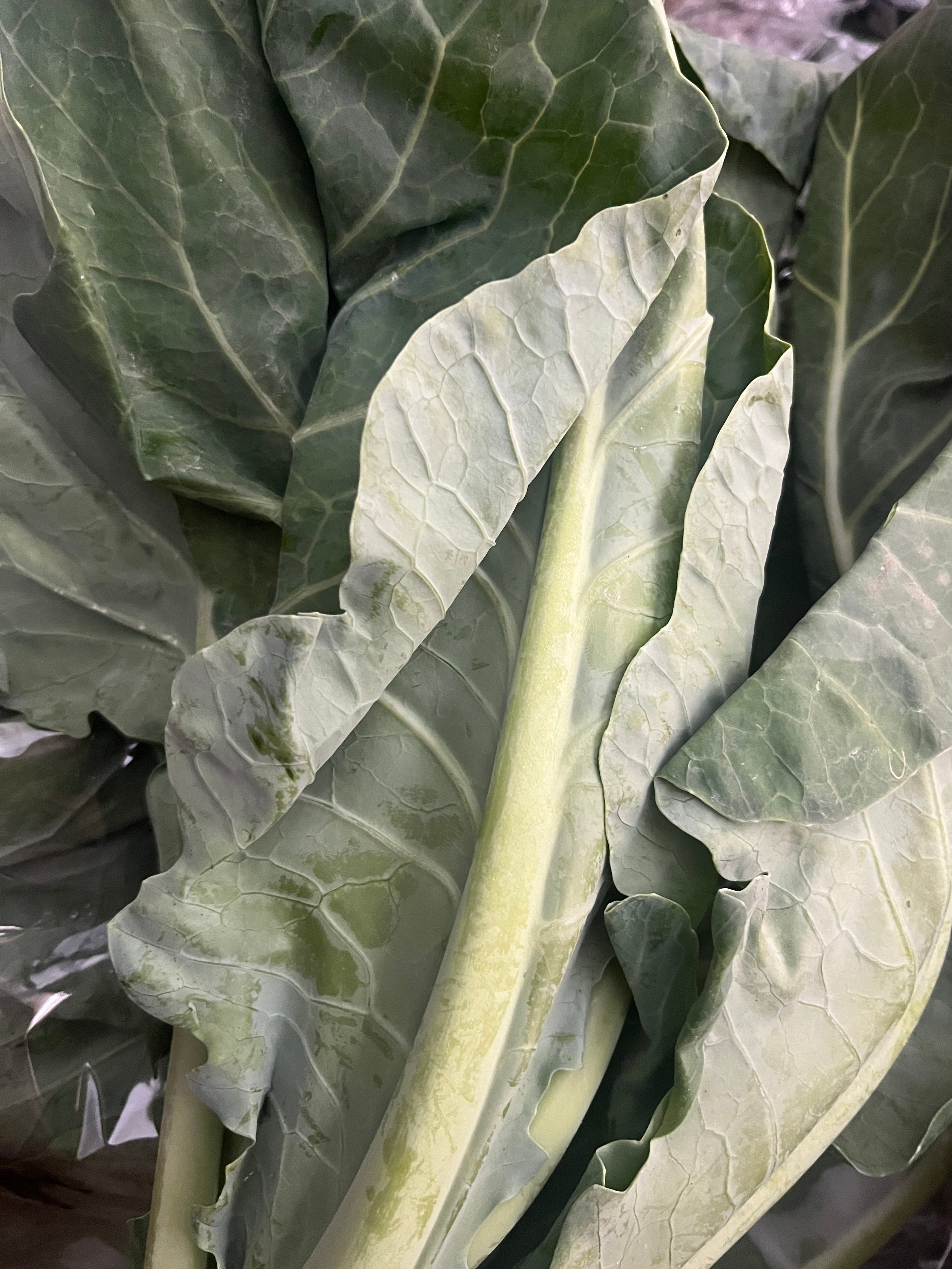 Spring Greens
