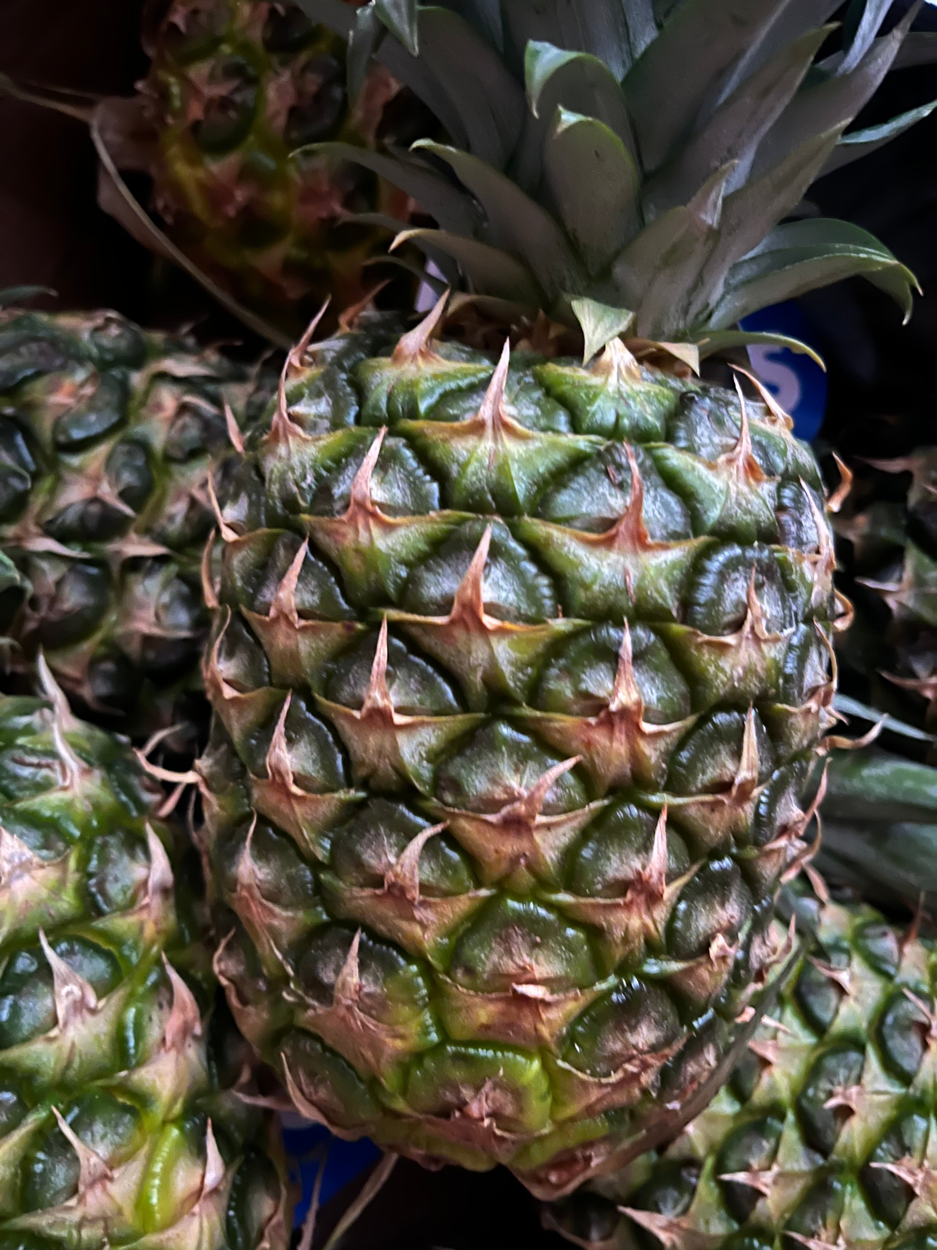 Pineapple