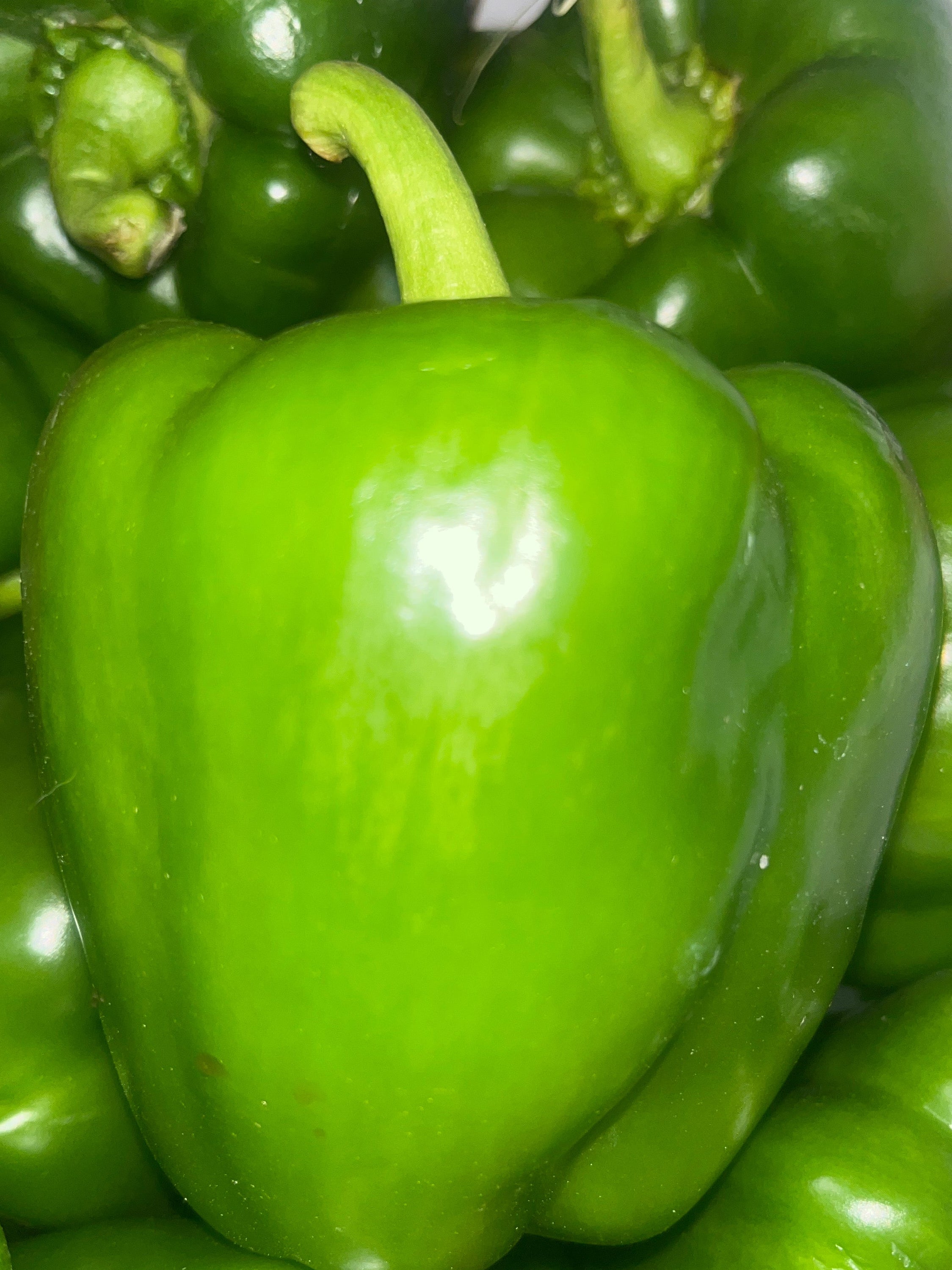 Green Bell Pepper
