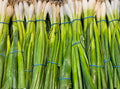 Spring Onion Bunch