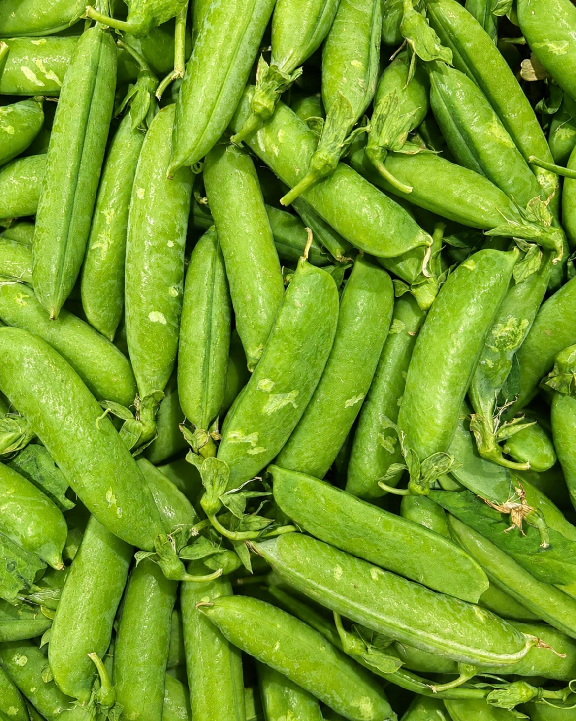 Garden Peas 200g