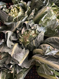 Cauliflower