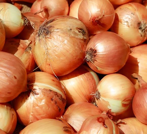 Large Spanish Onion