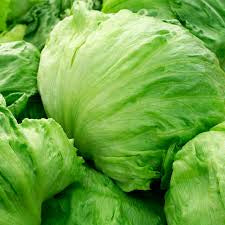 Iceberg Lettuce