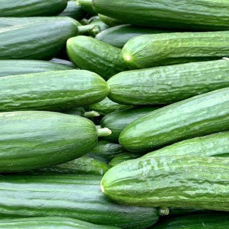 Cucumber
