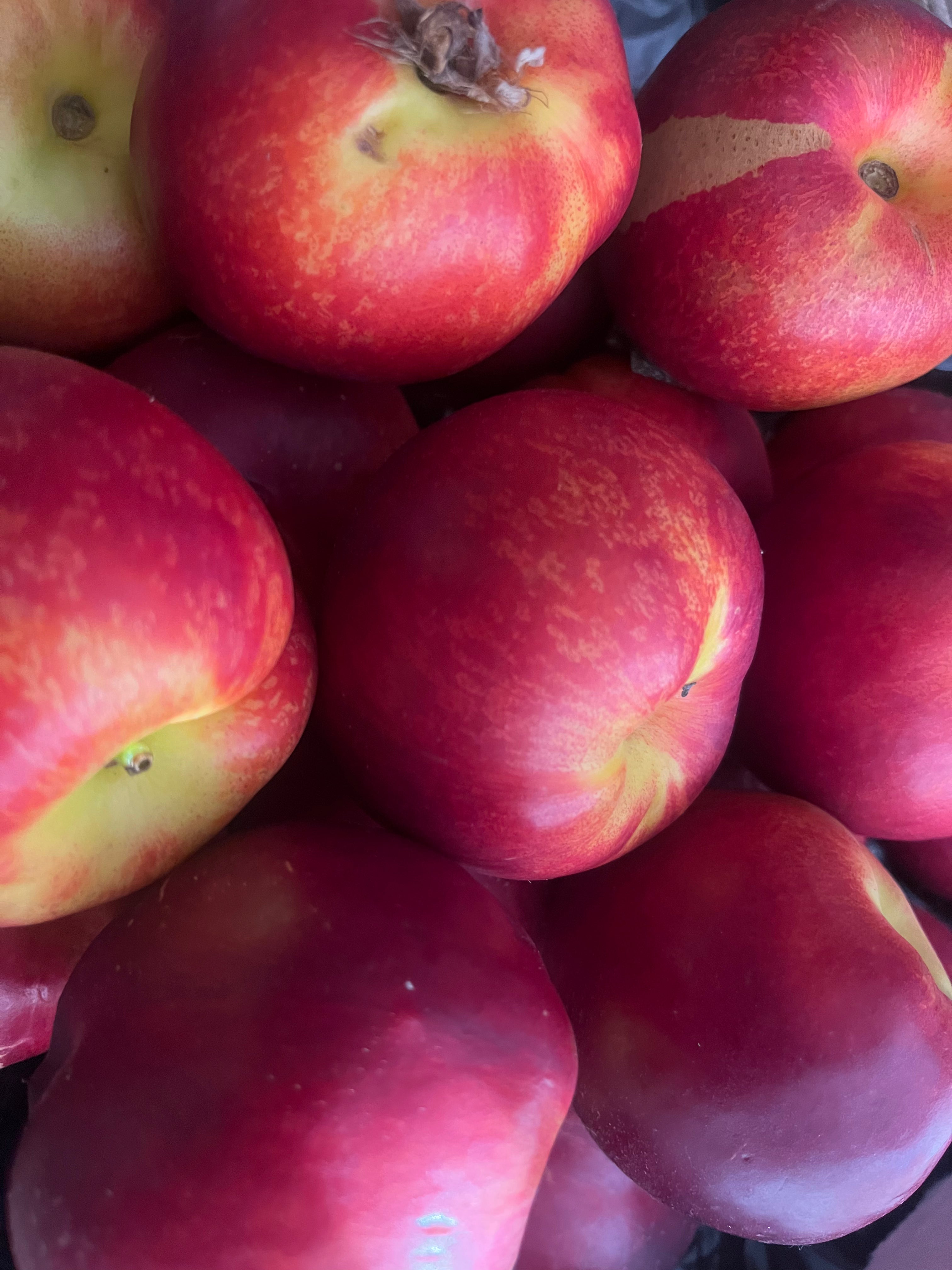 Nectarine