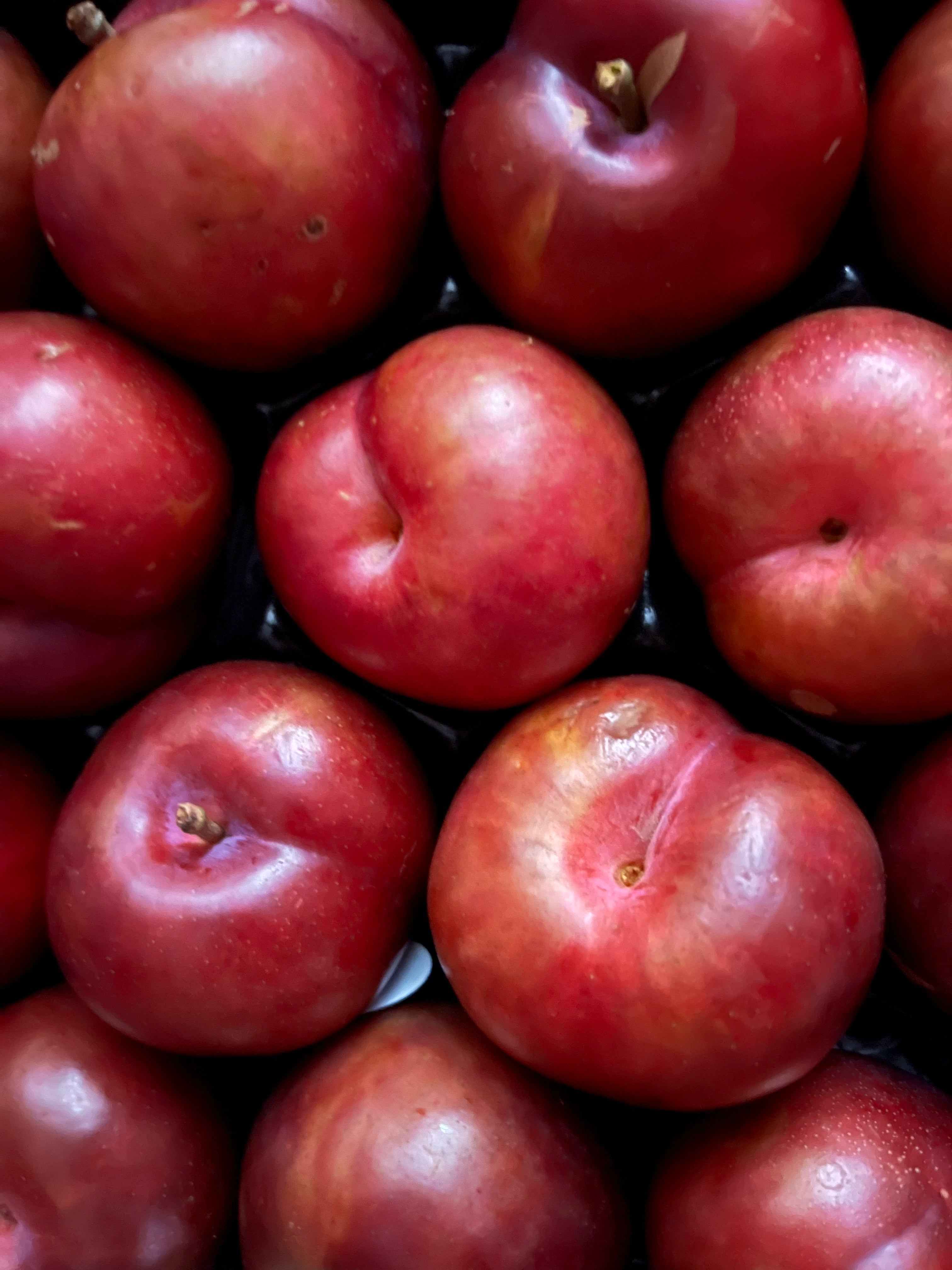Plum