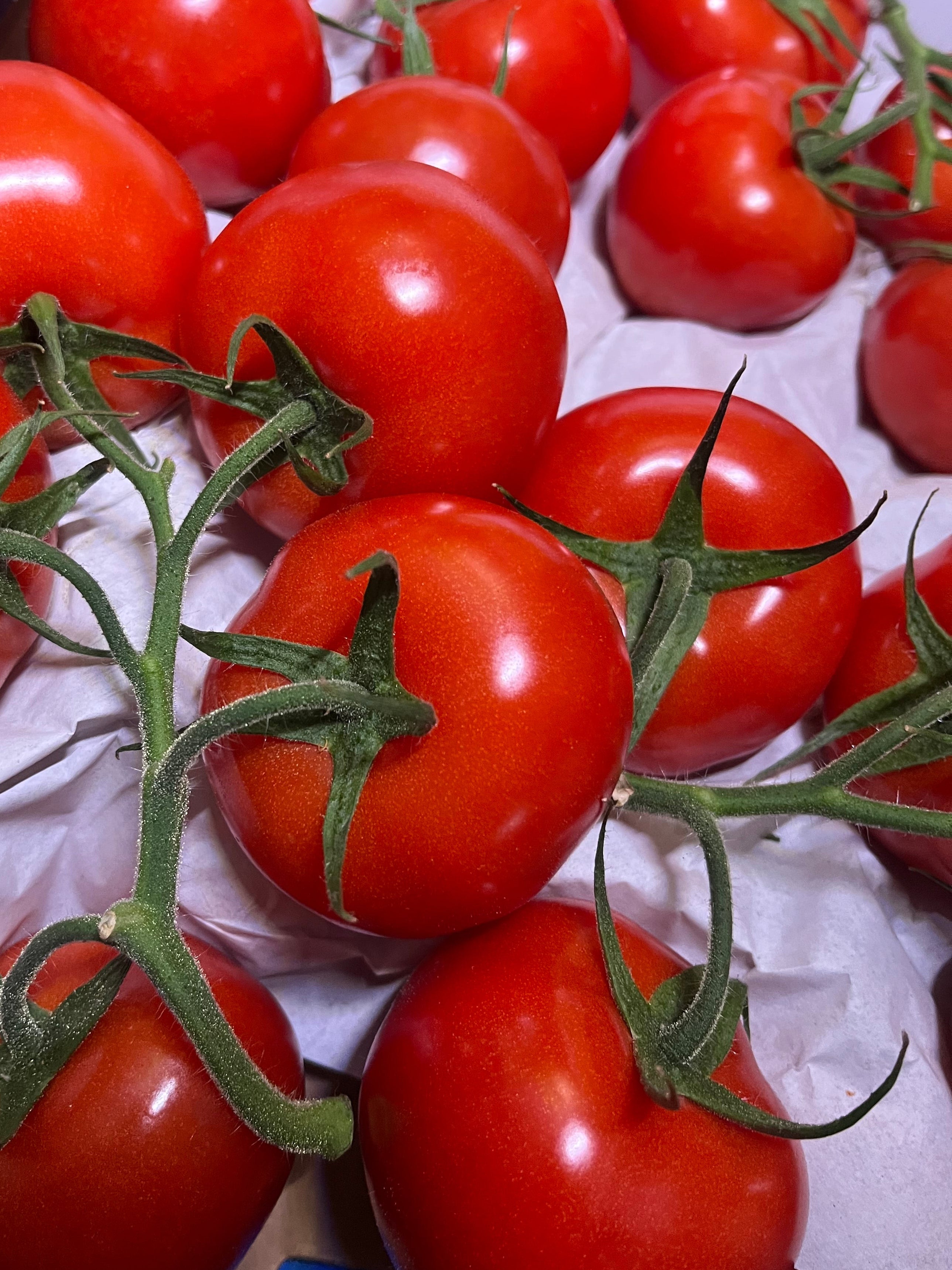 Vine Tomatoes x4